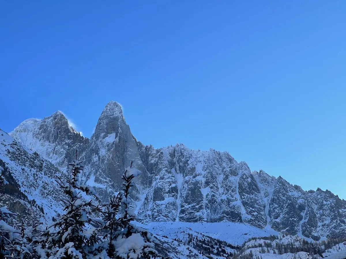 Chalets Asa 426 M2 Chamonix Mont Blanc