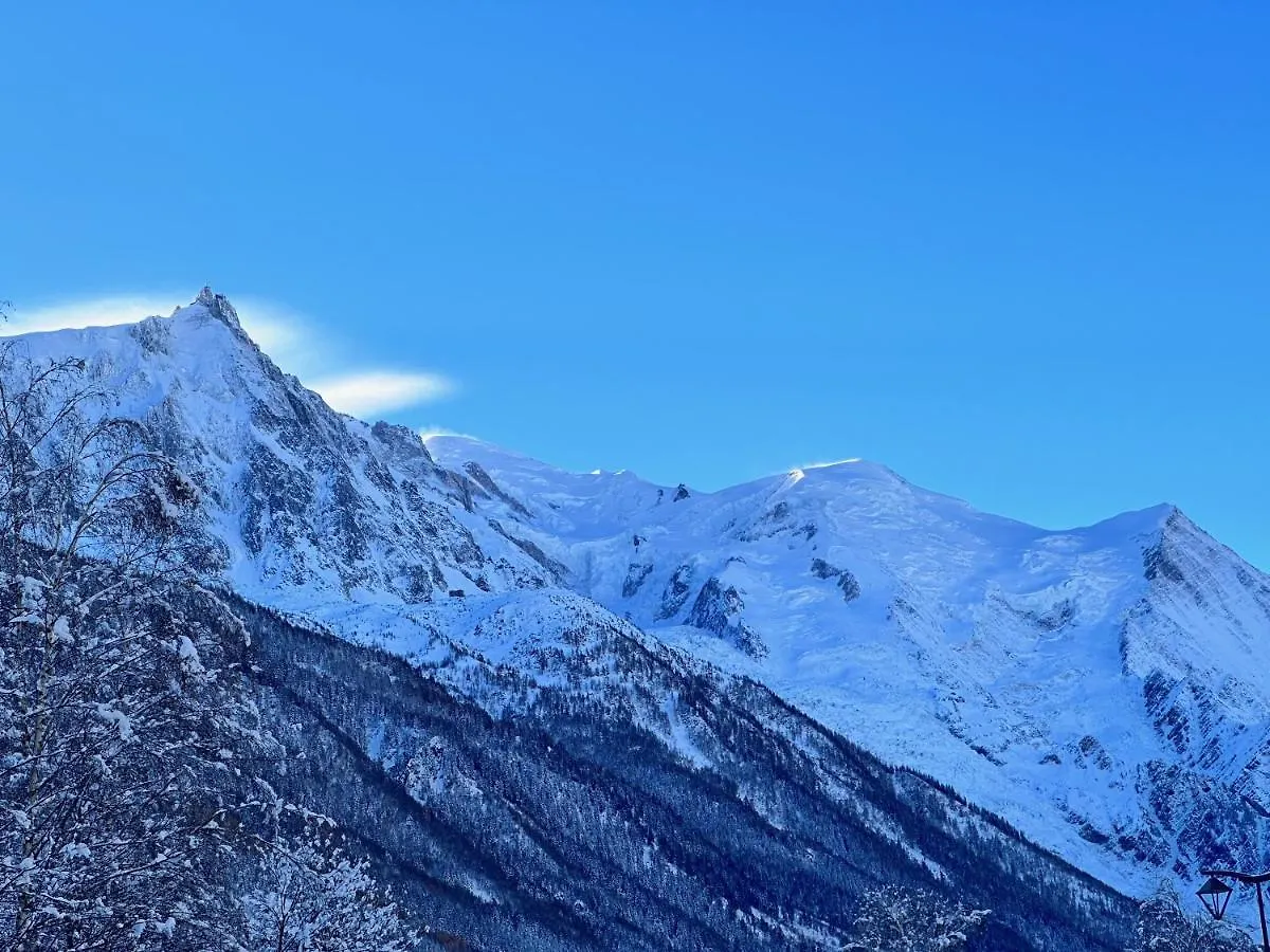 Chalets Asa 426 M2 Chamonix Mont Blanc Francia